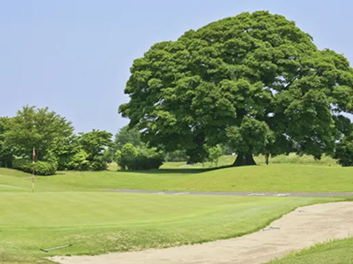 もおか鬼怒公園ゴルフ倶楽部 いちごゴルフクラブ