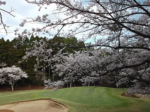 空港ゴルフコース 成田【アコーディア・ゴルフ】