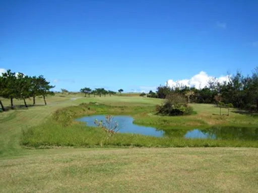 サシバリンクス伊良部