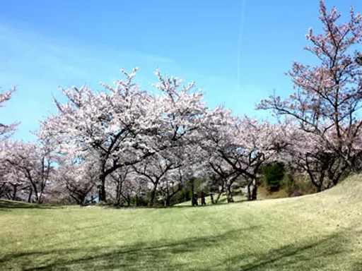 宮島志和カンツリー倶楽部