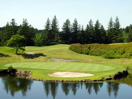 ピートダイゴルフクラブ　ロイヤルコース【ＰＧＭ】