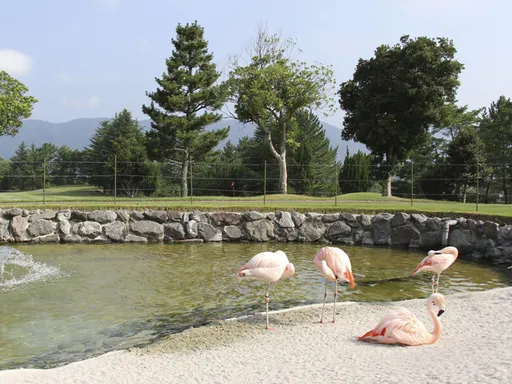 島ヶ原カントリークラブ